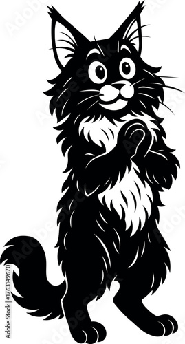 Cuadro en lienzo Maine Coon cat standing on hind legs begging