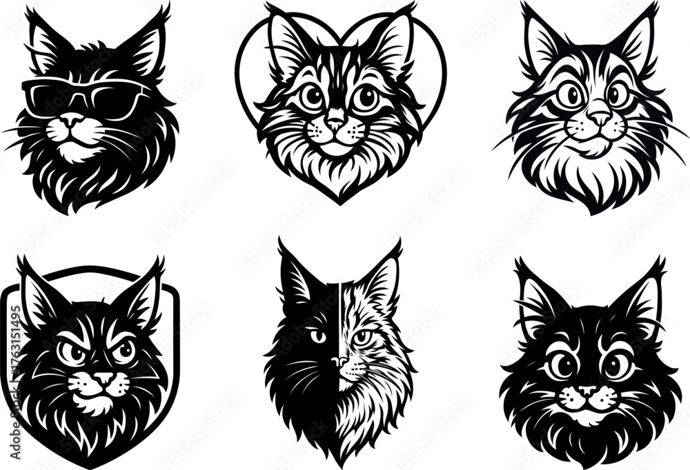Fototapeta premium Regal Maine Coon cat head in different poses