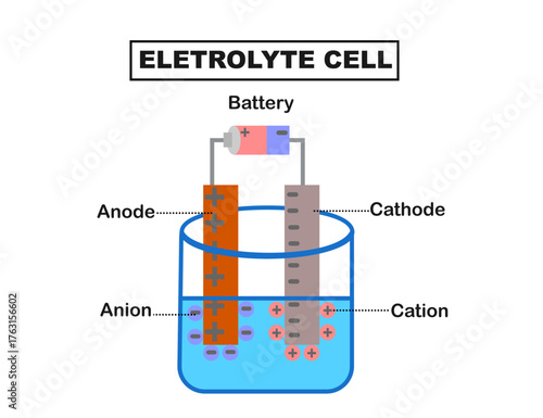 Electrolysis processes. Electrolyte cell.Cathode and anode, anions, cations.electrolytic cell.Infograhic or diagram.Science or chemical.Labeled educational experiment.Vector illustration.