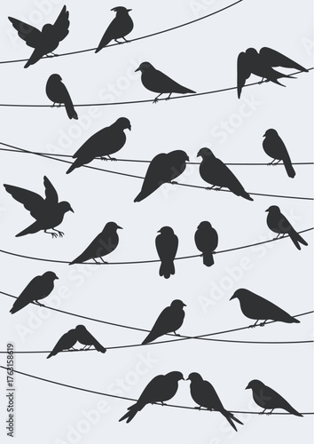 Birds group sitting on electric cables, wires, vertical card. Nature poster design with black silhouettes perched on strings, power lines. Sparrows and pigeons resting. Flat vector illustration