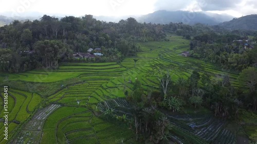 Drone Footage of Green Rice Terraces in Mountainous Countryside