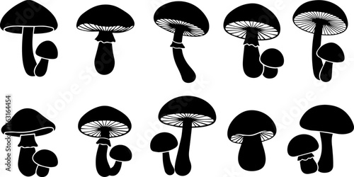 Black and White Mushroom Silhouettes with Caps and Stems Fungi Illustration.