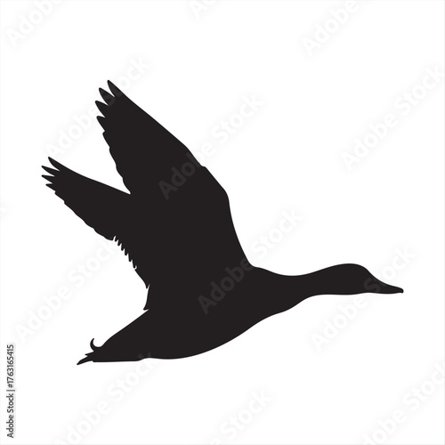 Black-headed gull flying silhouette vector illustration of a wild bird with wings and beak