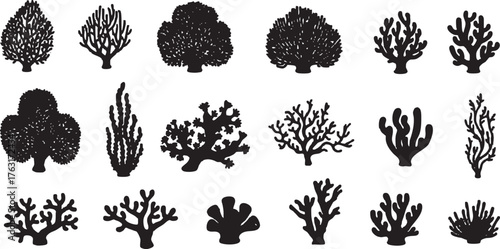 Set of 15 Black Coral and Seaweed Silhouettes