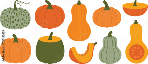 Collection of various colorful pumpkins and gourds in a flat design style