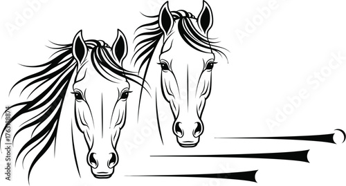 Two horse heads isolated on white background, a drawing of equine animals