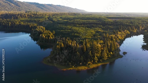 4K aerial drone footage of Quinault Lake in Olympic National Park, Washington State, USA, showing golden sunset light over calm blue water surrounded by evergreen forests and mountain landscape