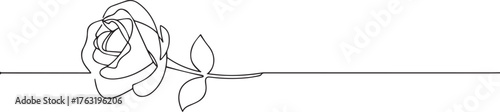 Rose flower one continuous line art, Vector illustration, One line art, Line art graphic style