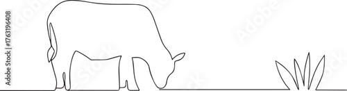 Cow eating grass one continuous line art, Vector illustration, One line art, Line art graphic style