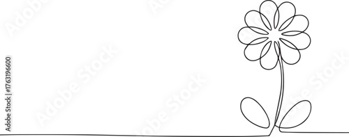 Daisy flower one continuous line art, Vector illustration, One line art, Line art graphic style