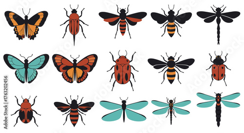 Collection of diverse insects including butterflies moths bees beetles and dragonflies for nature studies and entomology isolated on white background