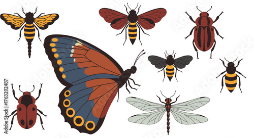 Collection of diverse insects including butterfly moth beetles dragonfly and other arthropods on isolated isolated on white background