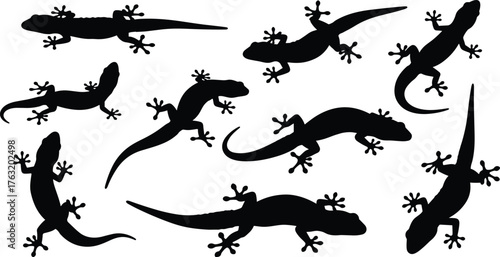 Gecko silhouette collection, reptile lizard vector, crawling gecko illustration, black and white animal drawing, exotic wildlife symbol, tropical nature art design
