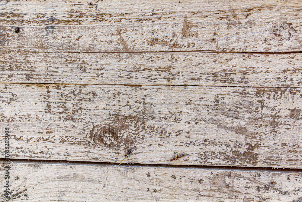 Fototapeta premium Detailed close up of rustic wooden planks with natural grain, rough texture, scratches, and weathered surface. Perfect background for design projects, vintage decor, carpentry, and creative artwork.