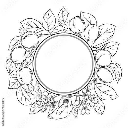Plum Branch with Fruits and Leaves Outline Round Frame. Organic natural nutritional healthy food ingredient, vegetarian diet product. Vector isolated for design or decoration.