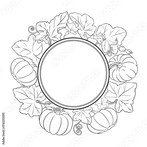 Pumpkin Plant with Flowers, Fruits and Leaves Outline Round Frame. Organic natural nutritional healthy food ingredient, vegetarian diet product. Vector isolated for design or decoration.