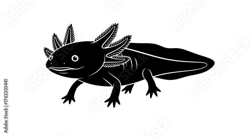 Unique black axolotl illustration charming aquatic amphibian pet creature wildlife art isolated on white isolated on white background