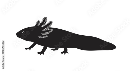 Silhouetted axolotl amphibian animal wildlife creature exotic species aquatic pet reptile marine life amphibious underwater salamander mexican pet science isolated on white background