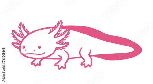 Cute pink axolotl amphibian creature animal cartoon drawing simple pet marine life aquarium exotic species underwater aquatic isolated on white background