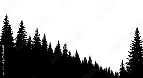 Dense evergreen forest silhouette against a bright sky in a serene natural landscape scene isolated on white background