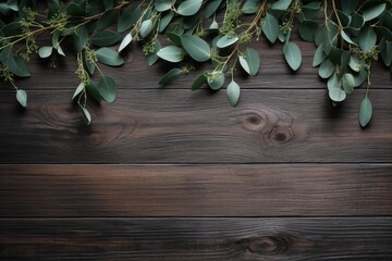 Eucalyptus branches creating a border on a dark wooden tabletop, providing copy space for design