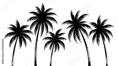 Black and white silhouette of palm trees with detailed fronds against a transparent background, symbolizing tropical nature and serenity.