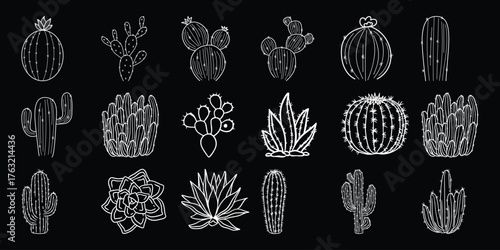 A Collection of Hand-Drawn White Cacti and Succulents on a Black Background