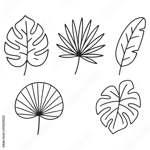 Tropical Leaf Outlines: A Botanical Collection of Exotic Foliage.