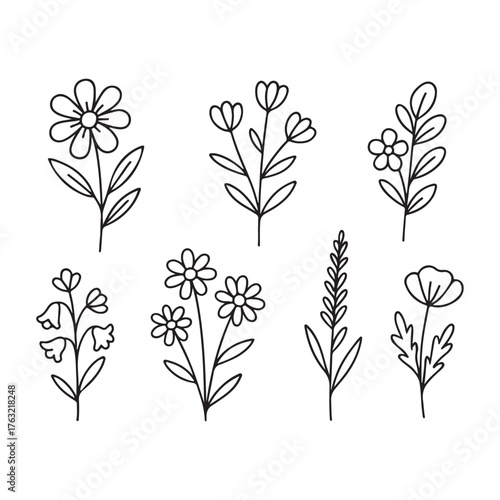 Set of seven hand drawn minimalist floral doodle illustrations.