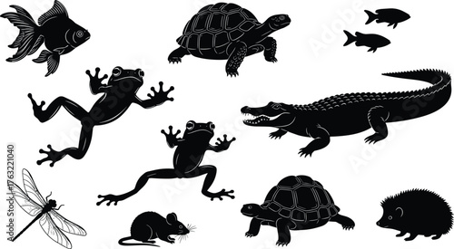 Silhouettes of Diverse Aquatic and Terrestrial Animals Including Frogs, Fish, Turtles, Mouse, Calm Mood, One-Panel Nature Vector