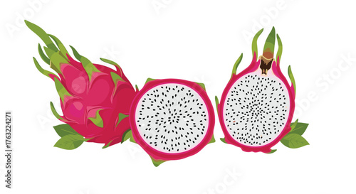 Vibrant Dragon Fruit Illustration with Whole and Halved Sections.
