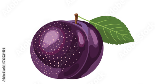 Fresh ripe purple plum with green leaf on white background.