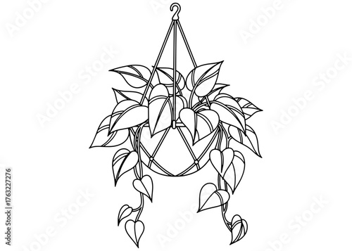 Outline of a vining houseplant (Pothos or Philodendron) in a macrame hanging planter. Simple black and white vector line art for a coloring book page.