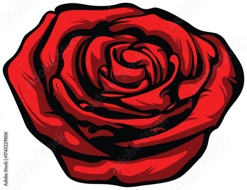 A big red  rose on a white background. Detailed drawing.