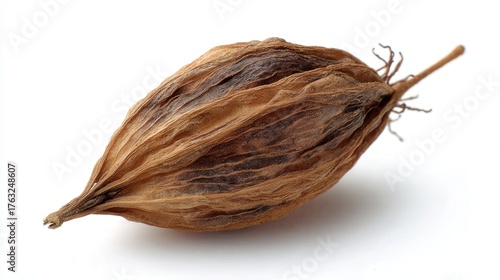 Wallpaper Mural Dried seed pod isolated on white background Torontodigital.ca