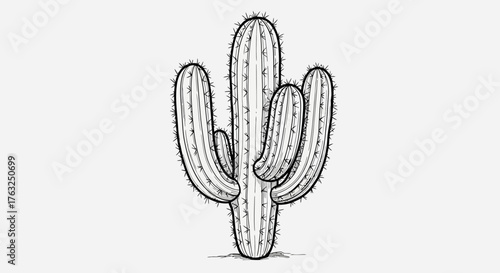 Detailed monochrome illustration of a Saguaro cactus on a clear background