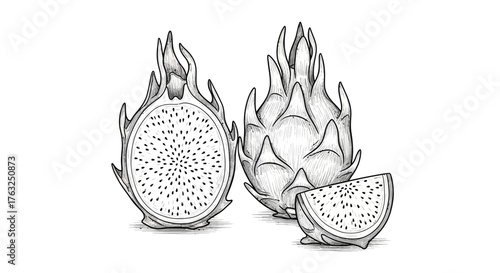 Dragon fruit illustration in grayscale, detailed drawing style, artistic freshness