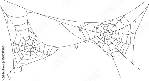 Delicate Spider Webs Vector Illustration with Fine Black Lines, Minimalistic Design, Realistic Structure, Intricate Details, Droplets, and Symmetrical Horizontal Composition for Nature and Halloween C