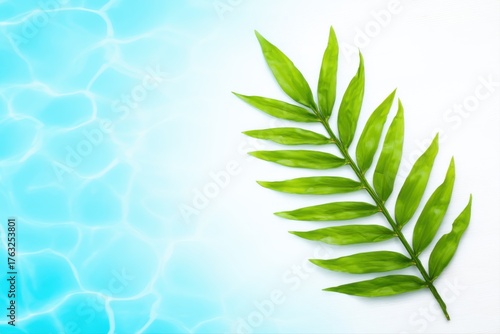 Green Palm Leaf Against Bright Blue Water Ripple Background green leaf tropical