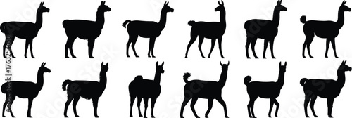Llama silhouette set, black vector icons, standing animal poses, textured fur variations, isolated clipart for nature, wildlife, farming, South American design