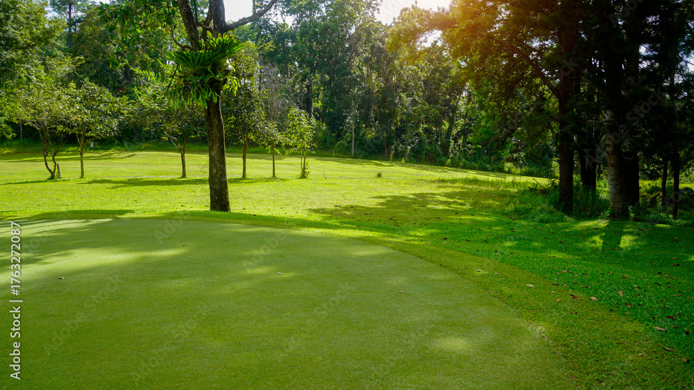 Obraz premium Green grass and woods on a golf field. View of Golf Course with beautiful putting green.