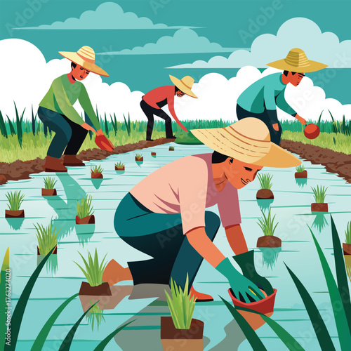 Farmers planting rice in flooded field under cloudy sky