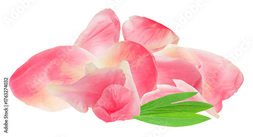 Wallpaper Mural charming pile of pink peony petals accented by green leaves creates a harmonious composition, perfect for romantic themes and elegant designs against black backdrop Torontodigital.ca