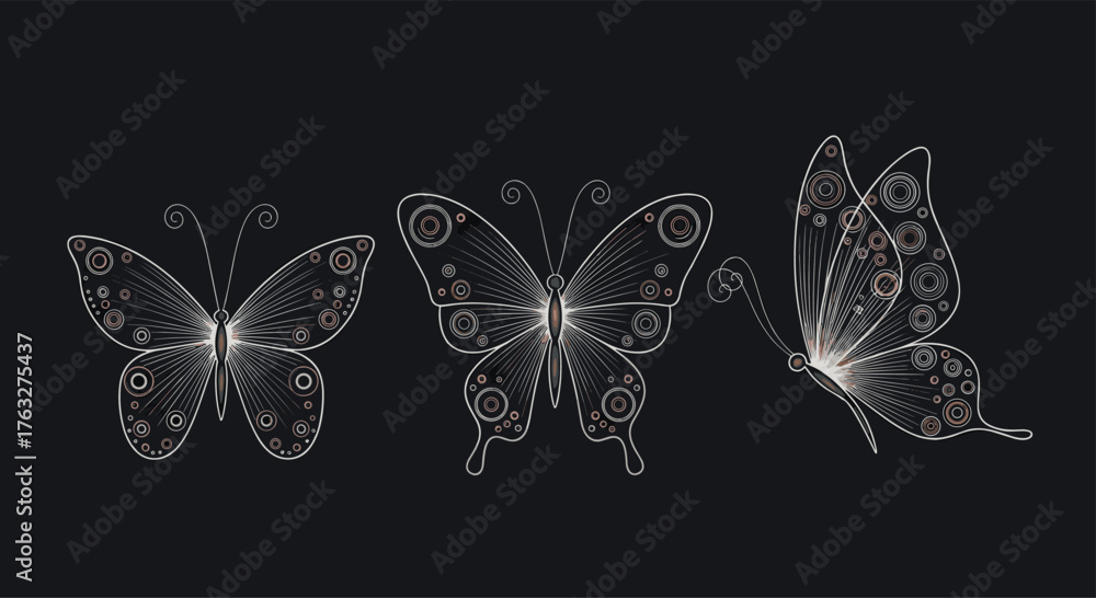 Fototapeta premium Three elegant white outline butterflies with intricate wing patterns.