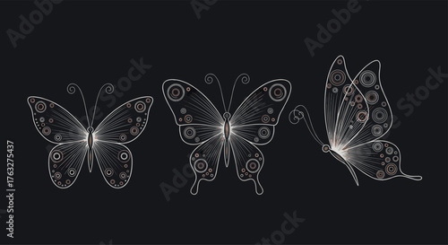 Three elegant white outline butterflies with intricate wing patterns.