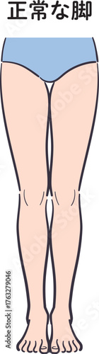 若い女性の脚（正常）