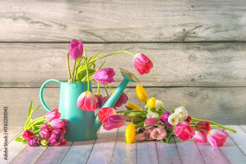Bunch of multicolored tulps flowers and watering can on a wooden background; copy space