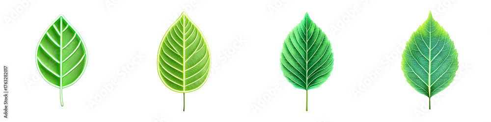 Fototapeta premium Various shades of green leaves showcasing nature's diversity, symbolizing growth, vitality, sustainability, and ecology. Perfect for environmental themes and botanical illustrations.