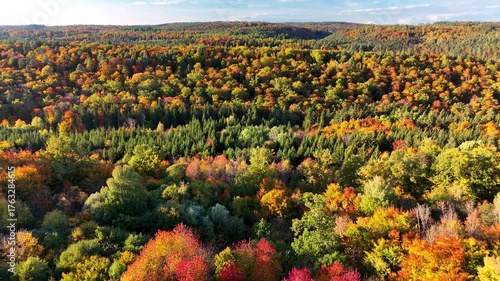 Aerial drone footage of reverse flight over beautiful colorful autumnal forest in the late afternoon