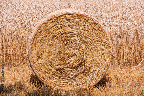 Foto Fin de moisson — botte de paille sous le soleil